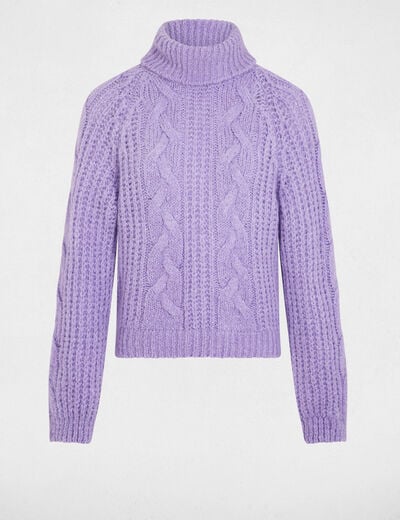 Pull torsadé col roulé parme femme