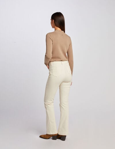 Trui lange mouwen en decoratieve knopen taupe vrouw