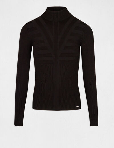 Pull manches longues avec col roul&eacute; noir femme