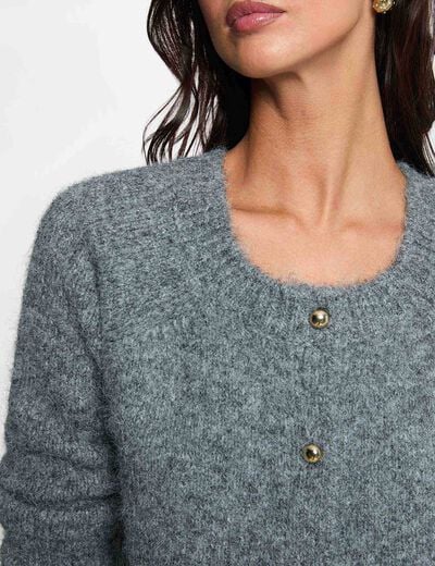 Vest met ronde hals gris clair vrouw