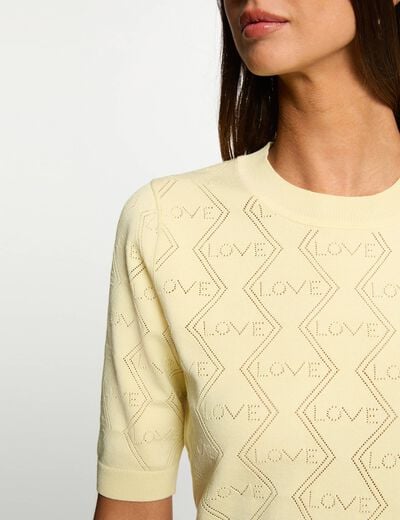 Pull ajour&eacute; manches 3/4 jaune pastel femme
