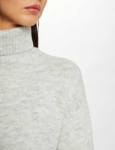 Rechte sweaterjurk met coltrui mediumgrijs vrouw
