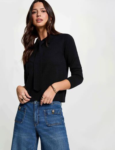 Pull col &agrave; revers bleu marine femme