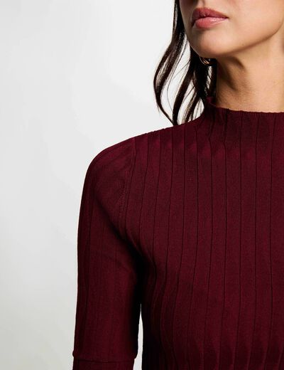 Trui met opstaande kraag bordeaux vrouw