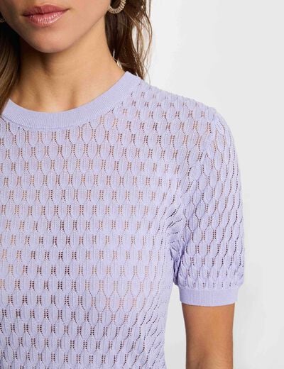 Fijne trui met ronde hals mauve vrouw
